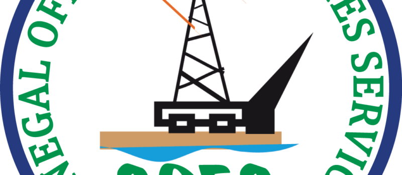 LOGO SOES VF1C