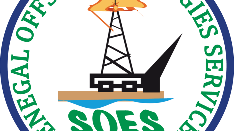 LOGO SOES VF1C